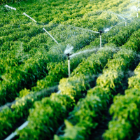 Frame p Fotos iguales 1000x1000_Artboard 6 copy